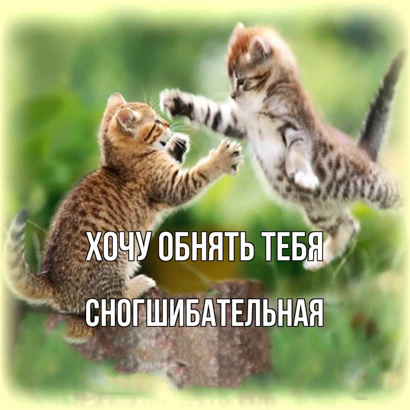 Картинка Хочу обнять тебя, Сногшибательная