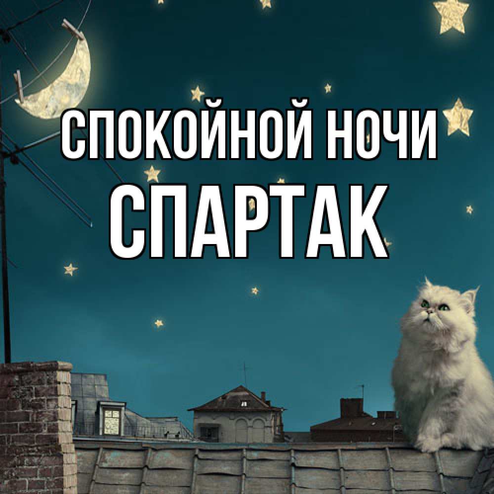 Открытка на каждый день с именем, Спартак Спокойной ночи белый кот сидит на крыше Прикольная открытка с пожеланием онлайн скачать бесплатно 
