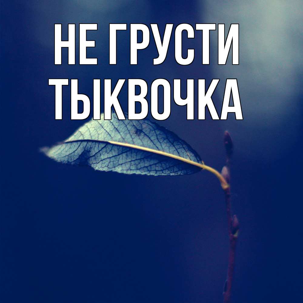 Открытка на каждый день с именем, тыквочка Не грусти растение Прикольная открытка с пожеланием онлайн скачать бесплатно 
