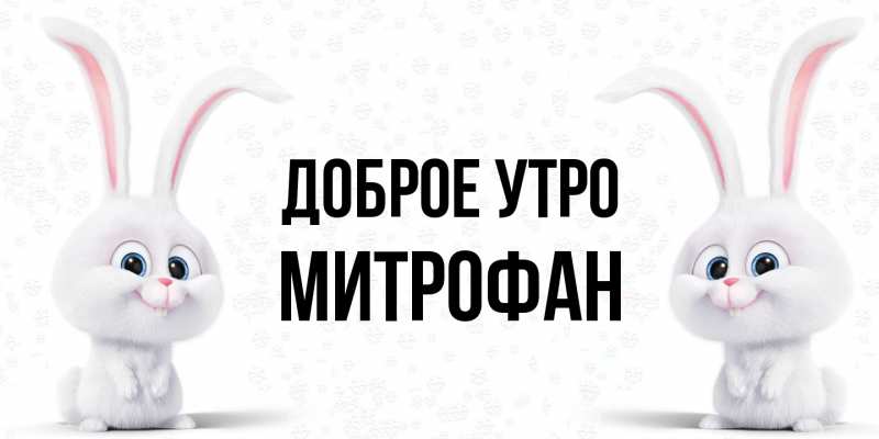 Картинка Доброе утро, Митрофан