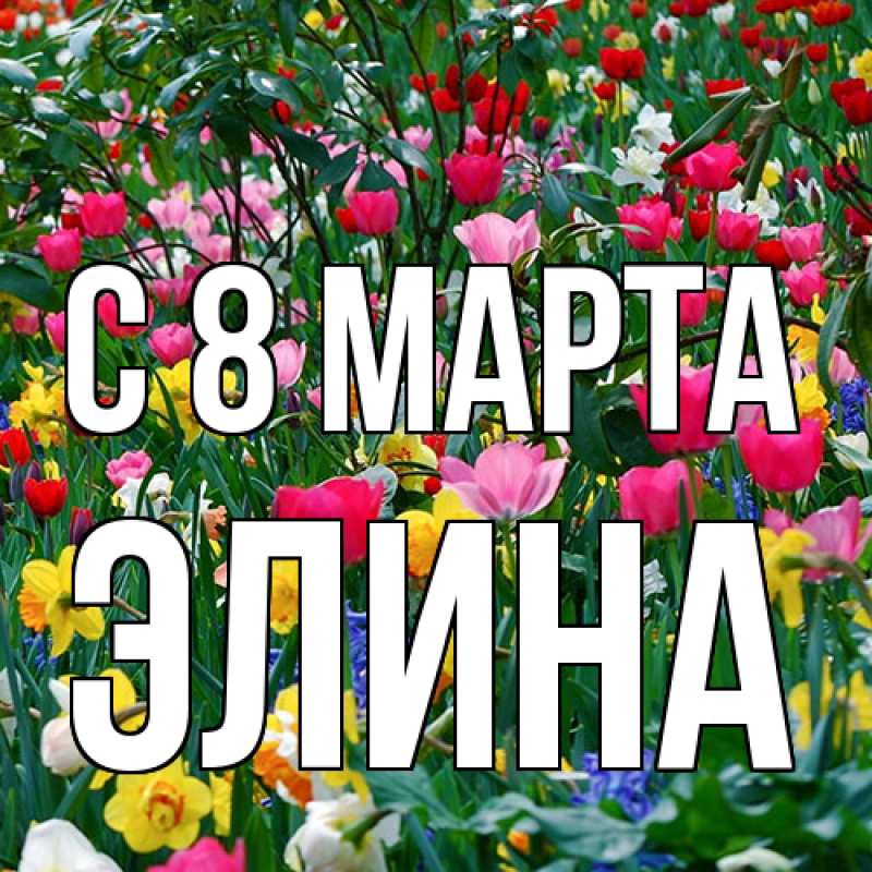 Картинка C 8 МАРТА, Элина