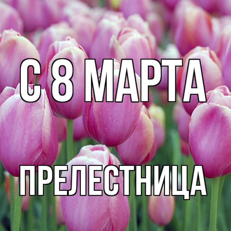 Картинка C 8 МАРТА, Прелестница