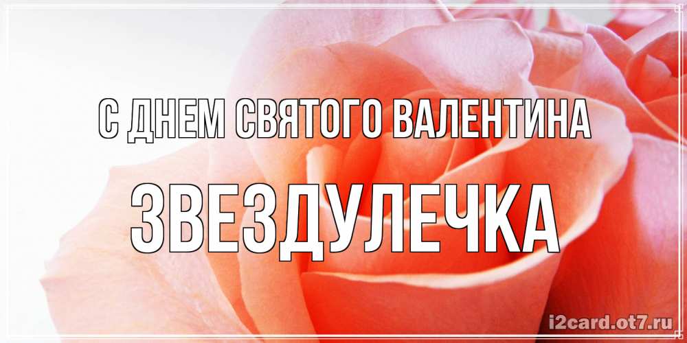 Открытка на каждый день с именем, Звездулечка С днем Святого Валентина открытка на день Святого Валентина с розовой розой Прикольная открытка с пожеланием онлайн скачать бесплатно 