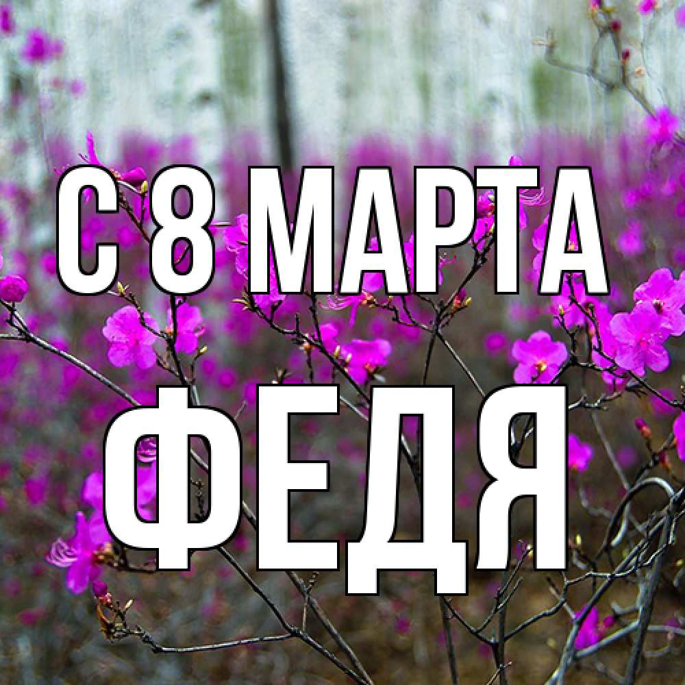 Открытка на каждый день с именем, Федя C 8 МАРТА дикие цветы Прикольная открытка с пожеланием онлайн скачать бесплатно 