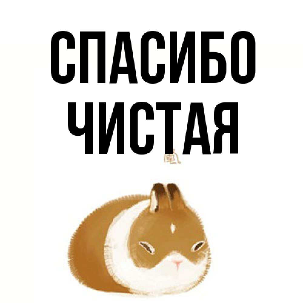 Открытка на каждый день с именем, Чистая Спасибо коричнево белый домашний питомец Прикольная открытка с пожеланием онлайн скачать бесплатно 