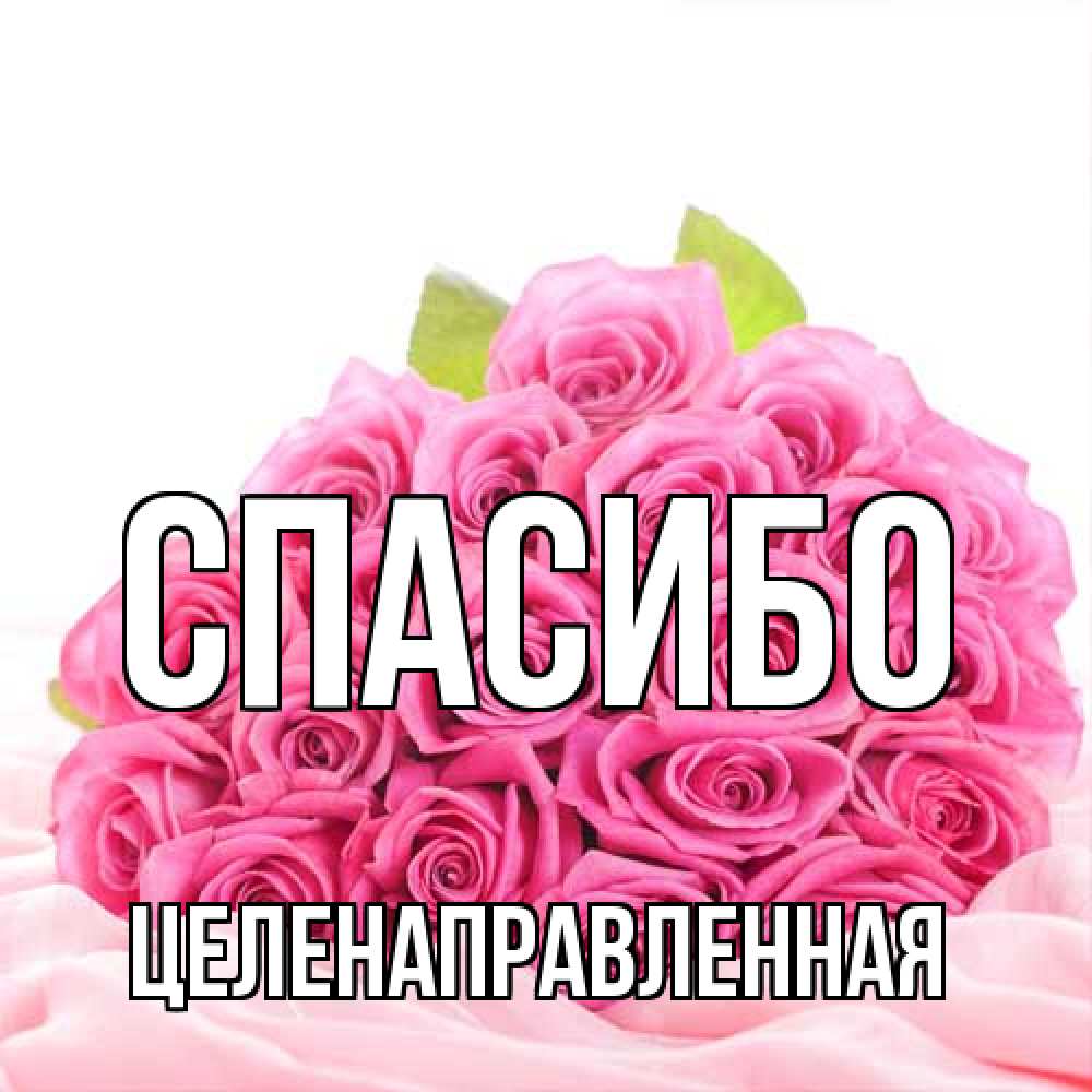 Открытка на каждый день с именем, целенаправленная Спасибо розовые розы с подписью Прикольная открытка с пожеланием онлайн скачать бесплатно 