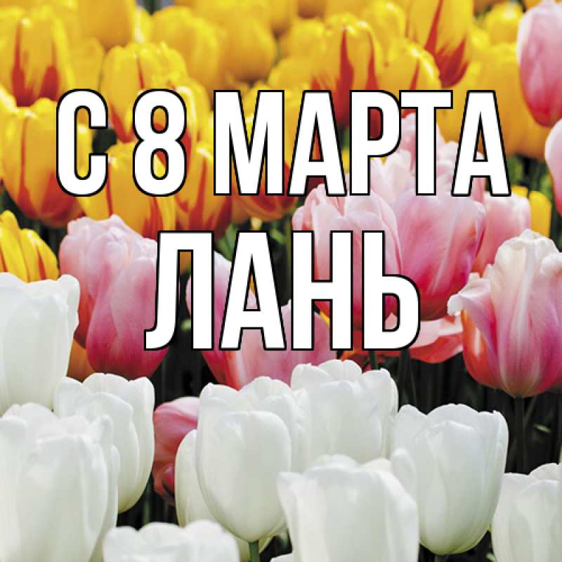 Картинка C 8 МАРТА, лань