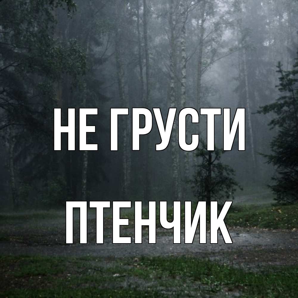 Открытка на каждый день с именем, Птенчик Не грусти осень Прикольная открытка с пожеланием онлайн скачать бесплатно 