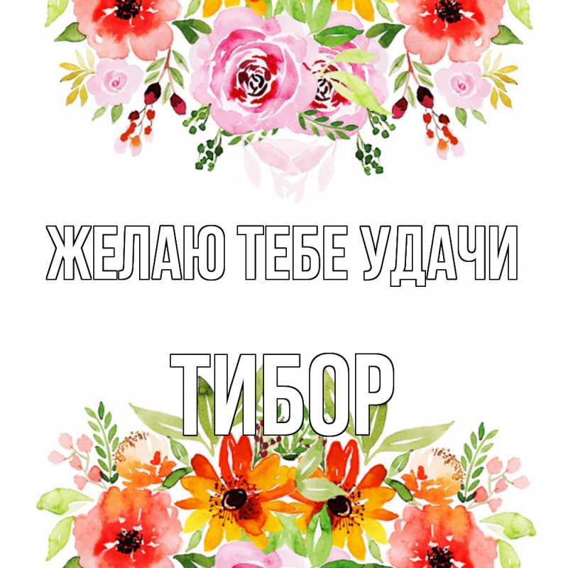 Картинка Желаю тебе удачи, Тибор