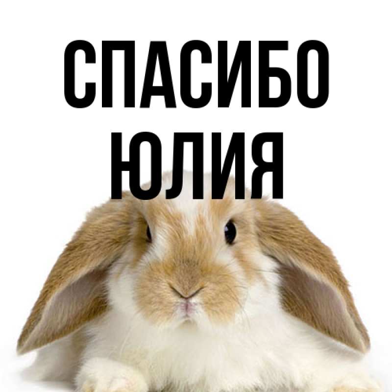 Картинка Спасибо, Юлия