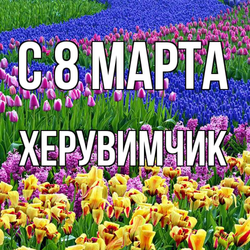 Картинка C 8 МАРТА, херувимчик