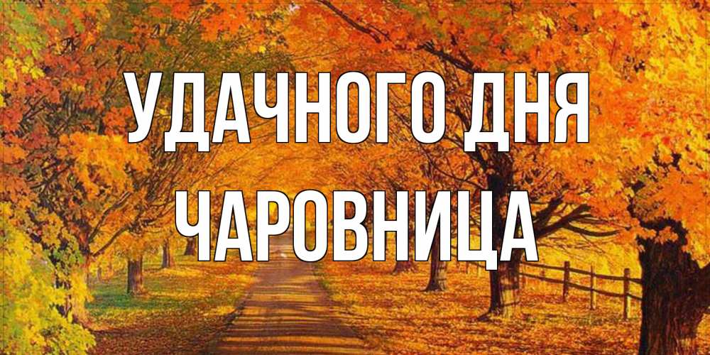 Открытка на каждый день с именем, Чаpовница Удачного дня деревья с осенними листьями Прикольная открытка с пожеланием онлайн скачать бесплатно 