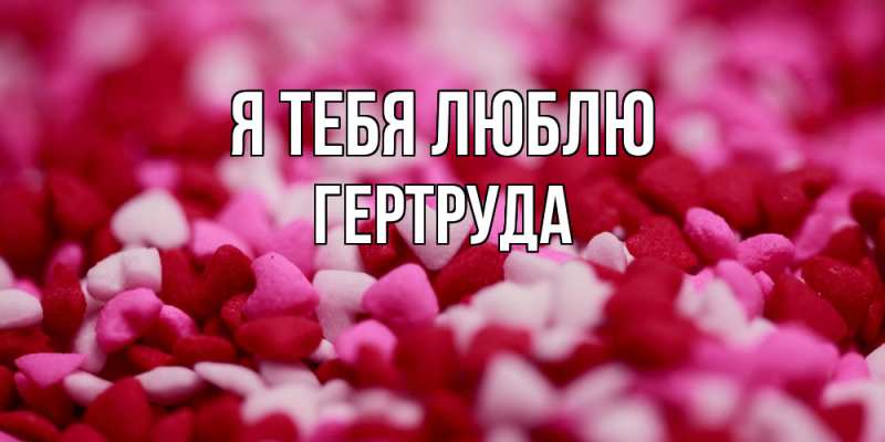 Картинка Я тебя люблю, Гертруда