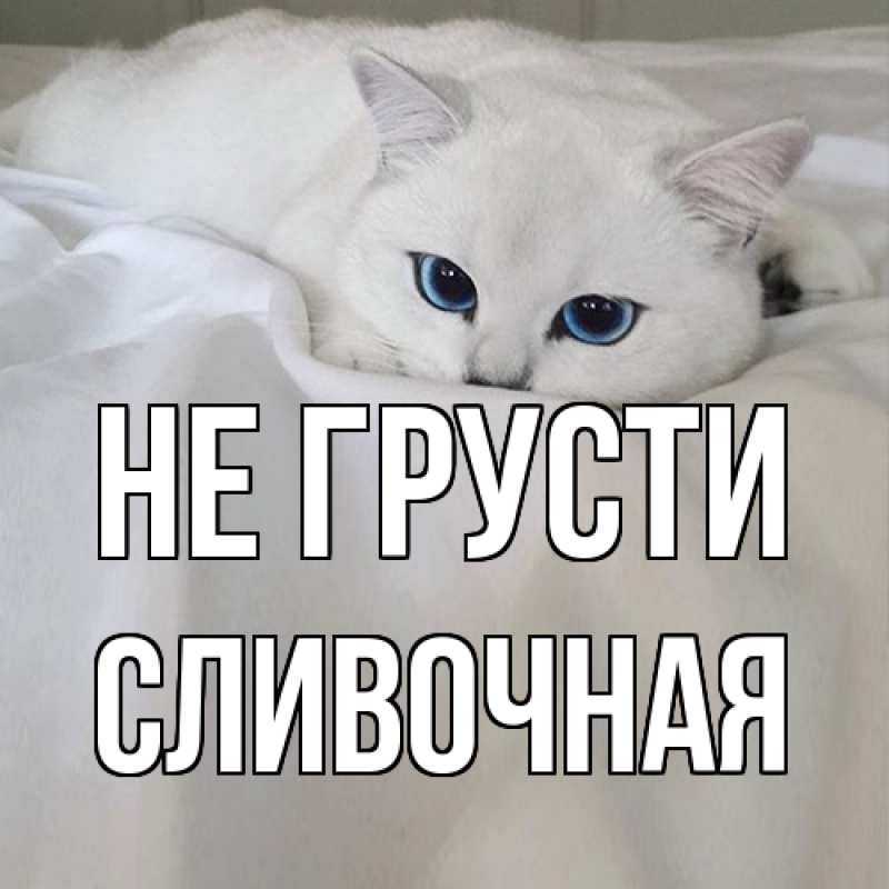 Картинка Не грусти, Сливочная