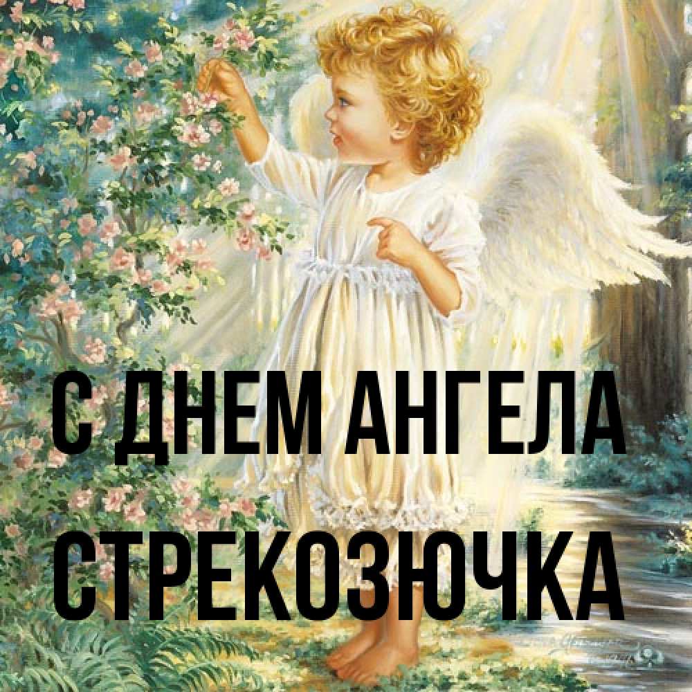 Открытка на каждый день с именем, Стрекозючка С днем ангела собирает цветы Прикольная открытка с пожеланием онлайн скачать бесплатно 
