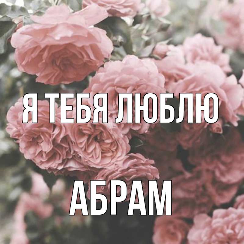 Картинка Я тебя люблю, Абрам