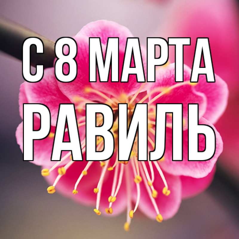 Картинка C 8 МАРТА, Равиль