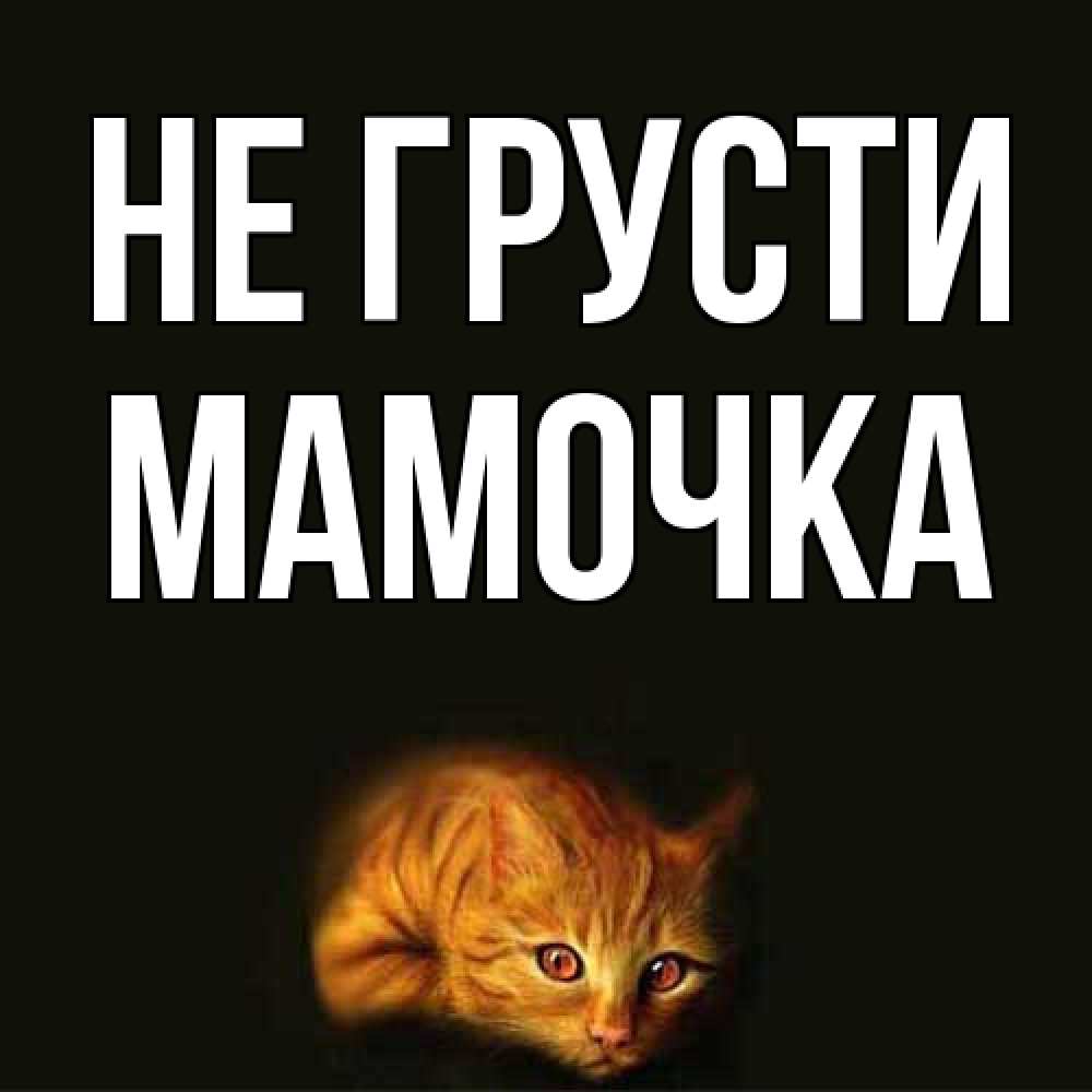 Открытка на каждый день с именем, Мамочка Не грусти лежащий кот в темноте Прикольная открытка с пожеланием онлайн скачать бесплатно 