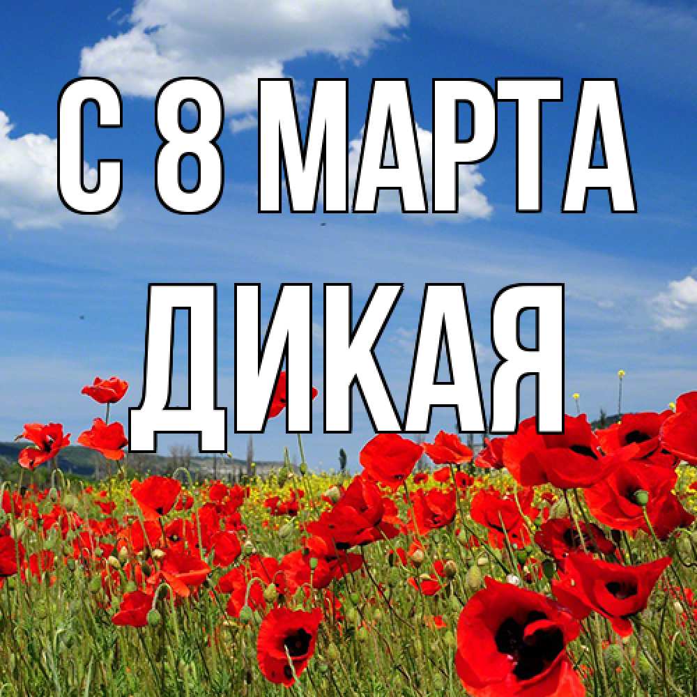 Открытка на каждый день с именем, дикая C 8 МАРТА международный женский день 1 Прикольная открытка с пожеланием онлайн скачать бесплатно 