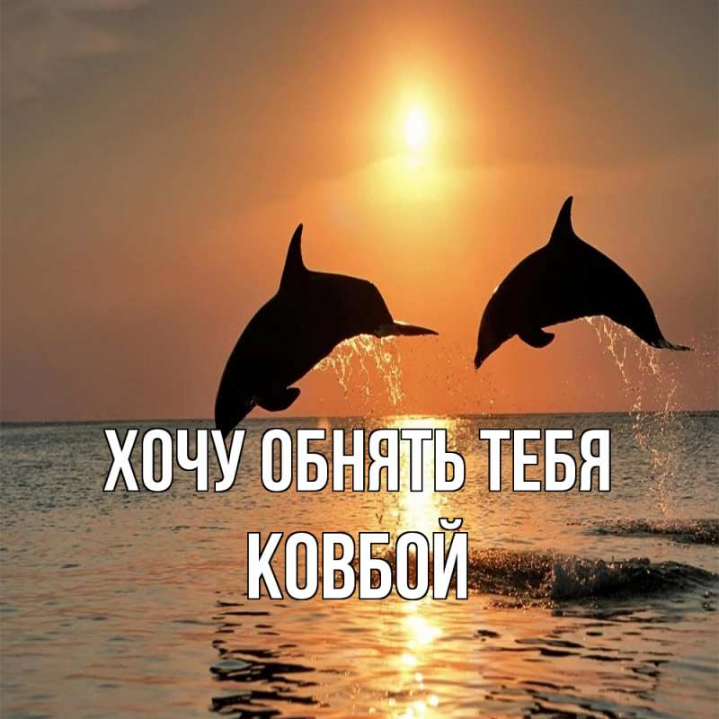Картинка Хочу обнять тебя, Ковбой