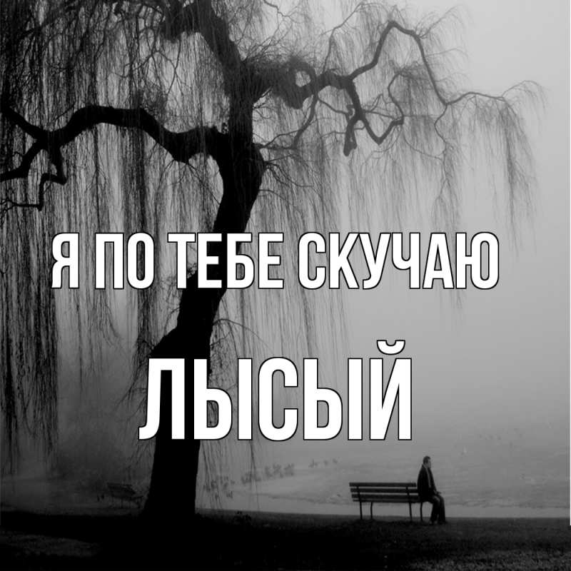 Картинка Я по тебе скучаю, Лысый