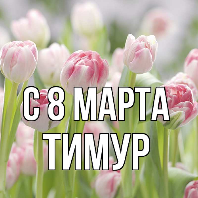 Картинка C 8 МАРТА, Тимур