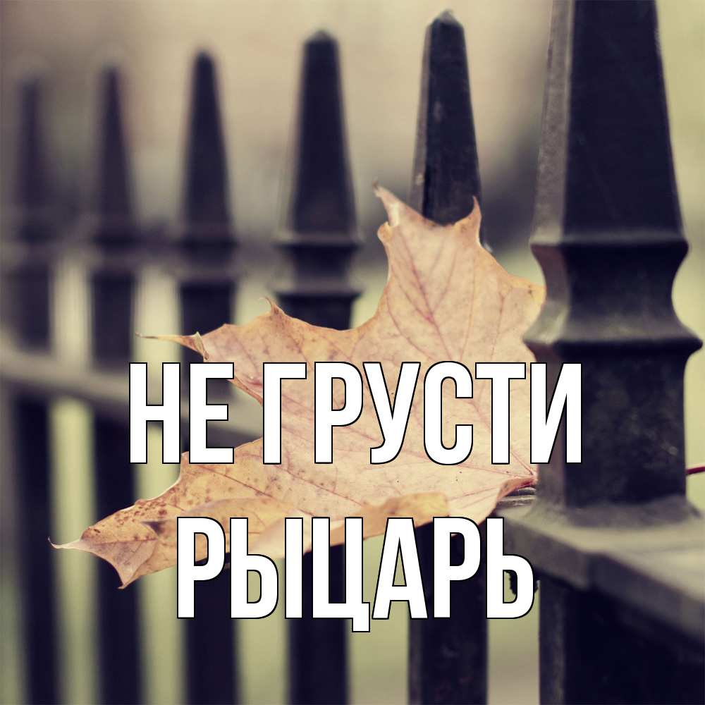 Открытка на каждый день с именем, Рыцарь Не грусти лист клена Прикольная открытка с пожеланием онлайн скачать бесплатно 