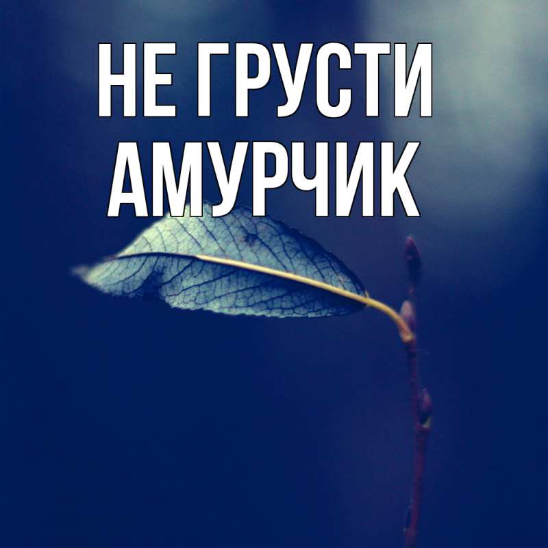 Картинка Не грусти, амурчик