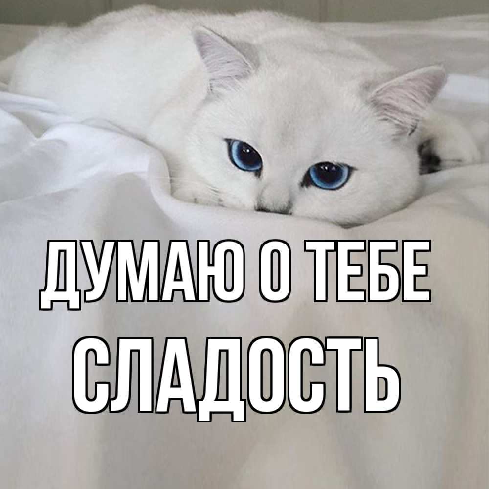 Открытка на каждый день с именем, Сладость Думаю о тебе я очень по тебе скучаю и тоскую Прикольная открытка с пожеланием онлайн скачать бесплатно 