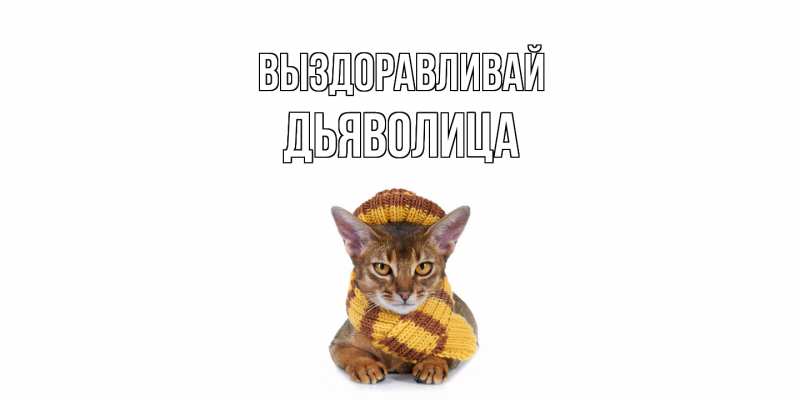 Картинка Выздоравливай, Дьяволица