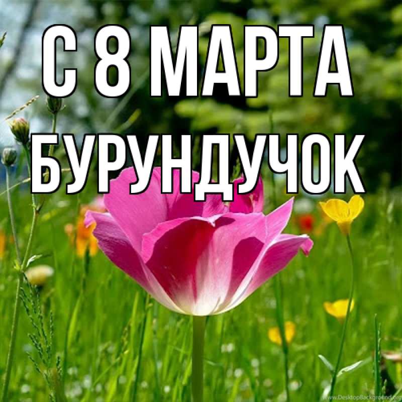 Картинка C 8 МАРТА, бурундучок