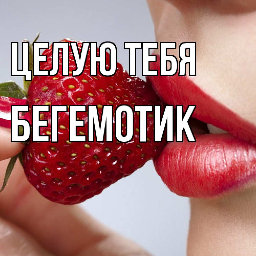 Открытка на каждый день с именем, Бегемотик Целую тебя губки держат клубничку Прикольная открытка с пожеланием онлайн скачать бесплатно 