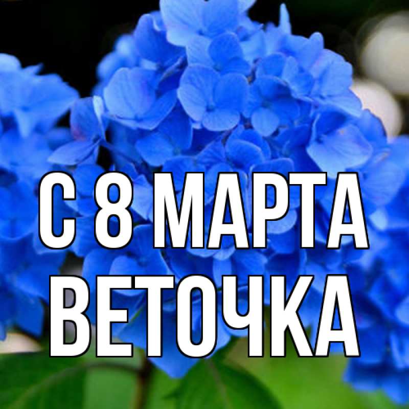Картинка C 8 МАРТА, Веточка