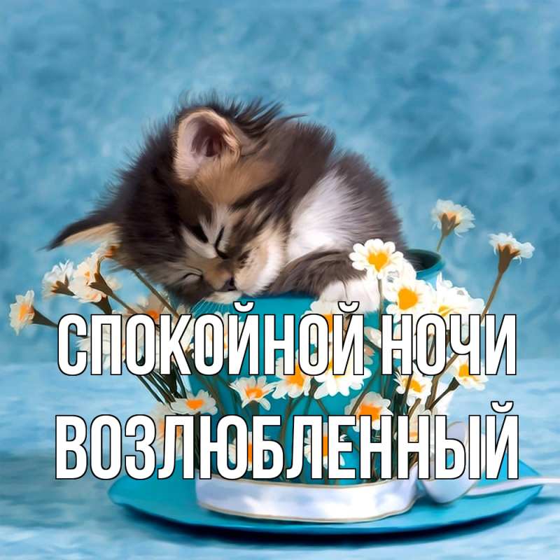 Картинка Спокойной ночи, Возлюбленный