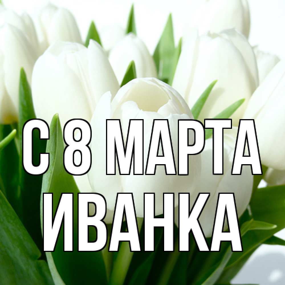 Открытка на каждый день с именем, Иванка C 8 МАРТА цветы Прикольная открытка с пожеланием онлайн скачать бесплатно 