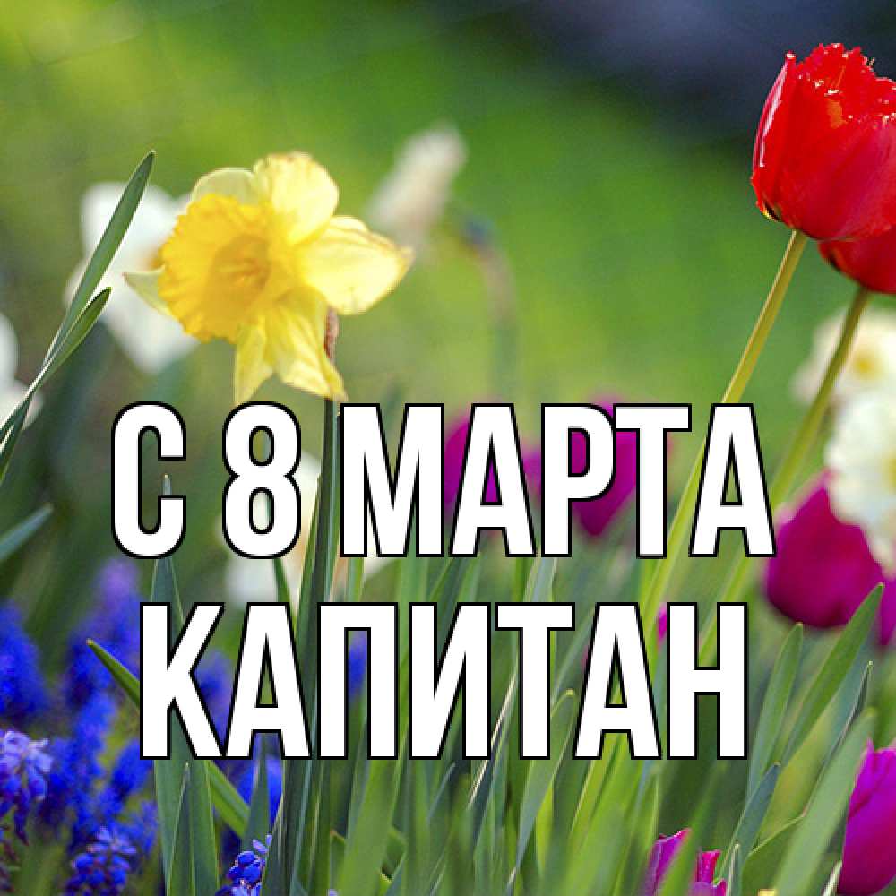 Открытка на каждый день с именем, Капитан C 8 МАРТА международный женский день 3 Прикольная открытка с пожеланием онлайн скачать бесплатно 