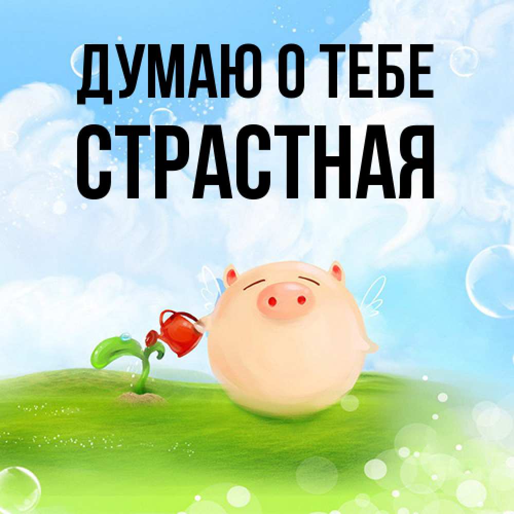 Открытка на каждый день с именем, Стpастная Думаю о тебе позитивная свинюшка Прикольная открытка с пожеланием онлайн скачать бесплатно 