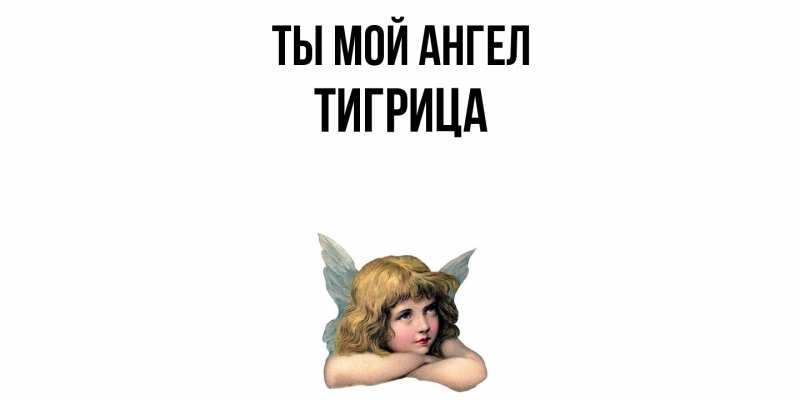 Картинка Ты мой ангел, Тигрица