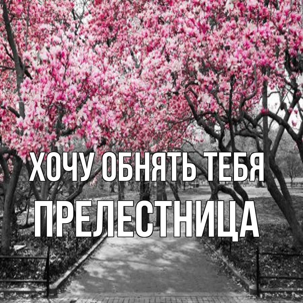 Открытка на каждый день с именем, Прелестница Хочу обнять тебя обработанное фото Прикольная открытка с пожеланием онлайн скачать бесплатно 