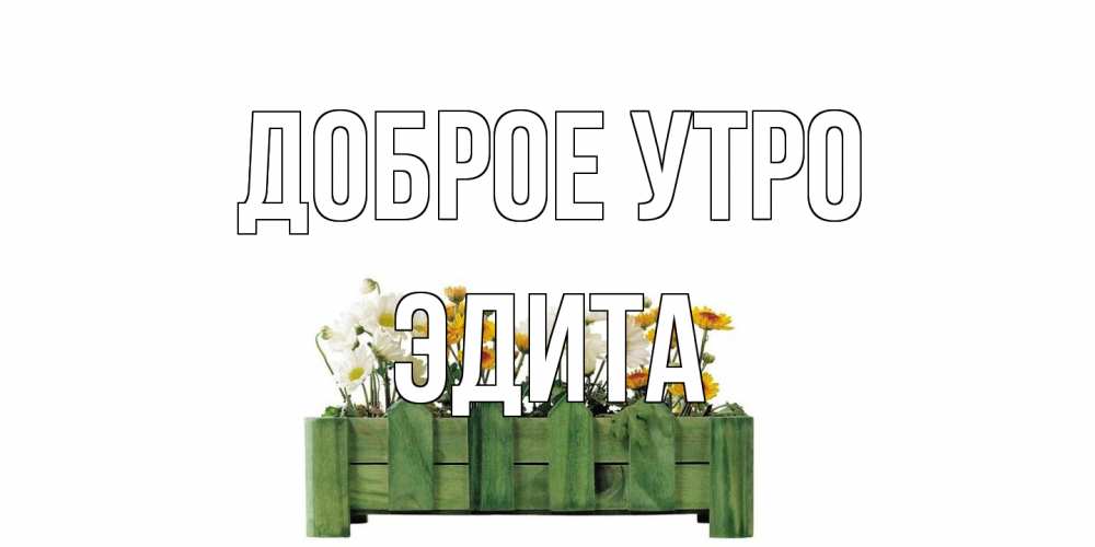 Открытка на каждый день с именем, Эдита Доброе утро цветы Прикольная открытка с пожеланием онлайн скачать бесплатно 