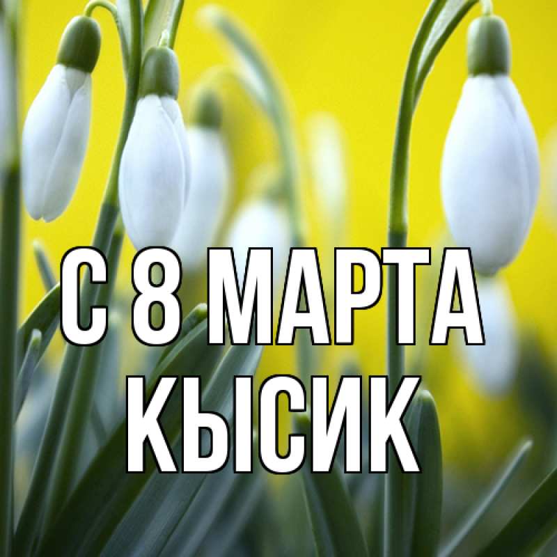 Картинка C 8 МАРТА, Кысик