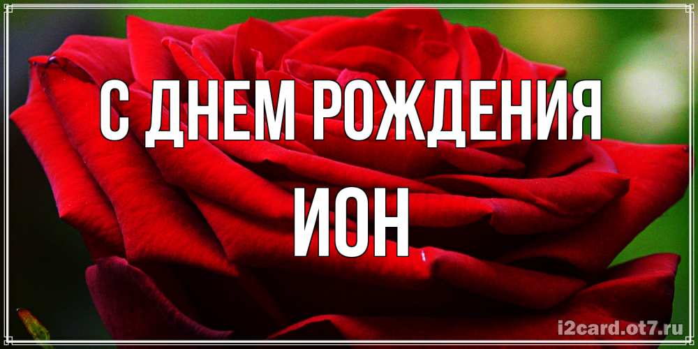Открытка на каждый день с именем, Ион С днем рождения розочка очень красивая Прикольная открытка с пожеланием онлайн скачать бесплатно 