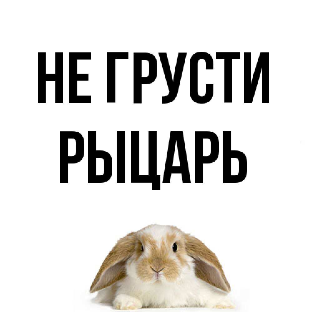 Открытка на каждый день с именем, Рыцарь Не грусти коричнево белый заяц с большими ушками Прикольная открытка с пожеланием онлайн скачать бесплатно 