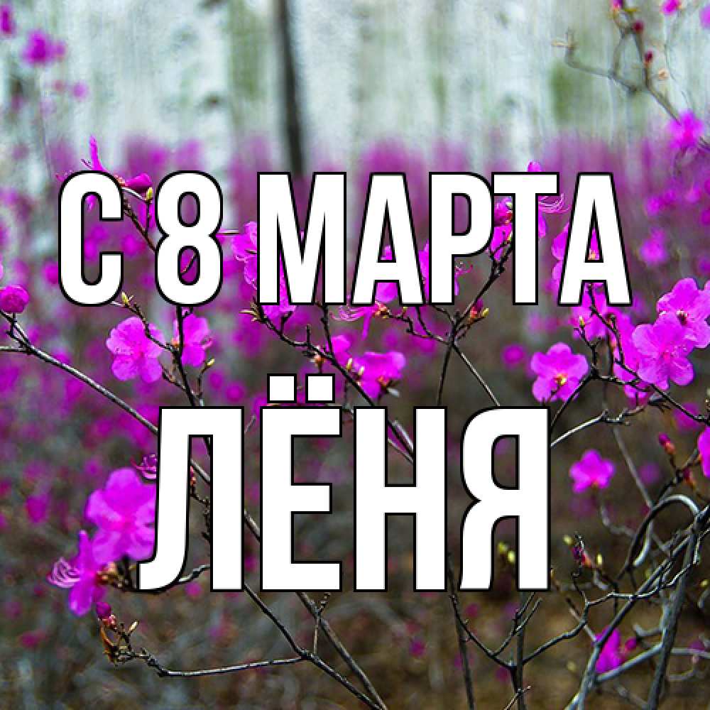 Открытка на каждый день с именем, Лёня C 8 МАРТА дикие цветы Прикольная открытка с пожеланием онлайн скачать бесплатно 