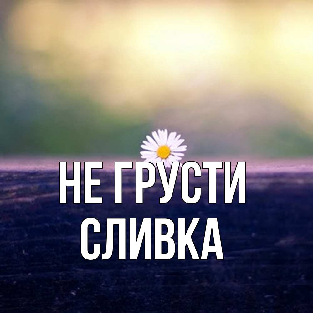 Открытка на каждый день с именем, Сливка Не грусти красота Прикольная открытка с пожеланием онлайн скачать бесплатно 