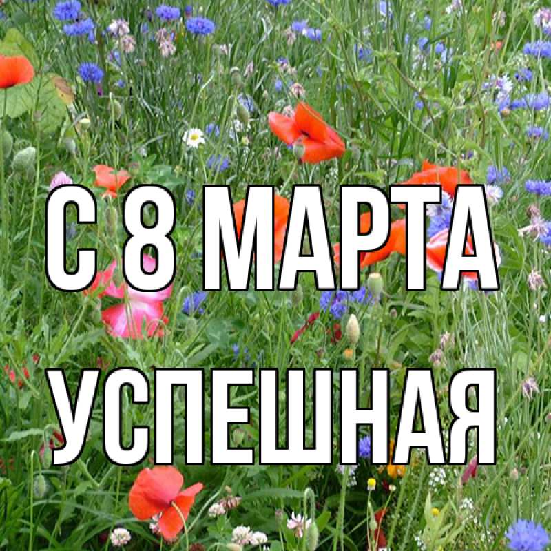 Картинка C 8 МАРТА, Успешная