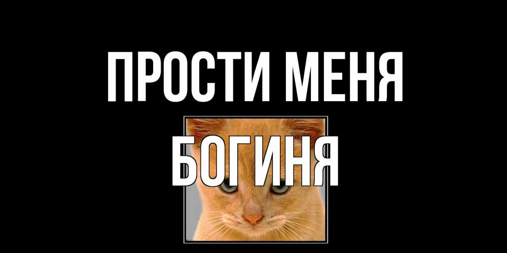 Открытка на каждый день с именем, Богиня Прости меня рыжий грустный кот просит прощения Прикольная открытка с пожеланием онлайн скачать бесплатно 