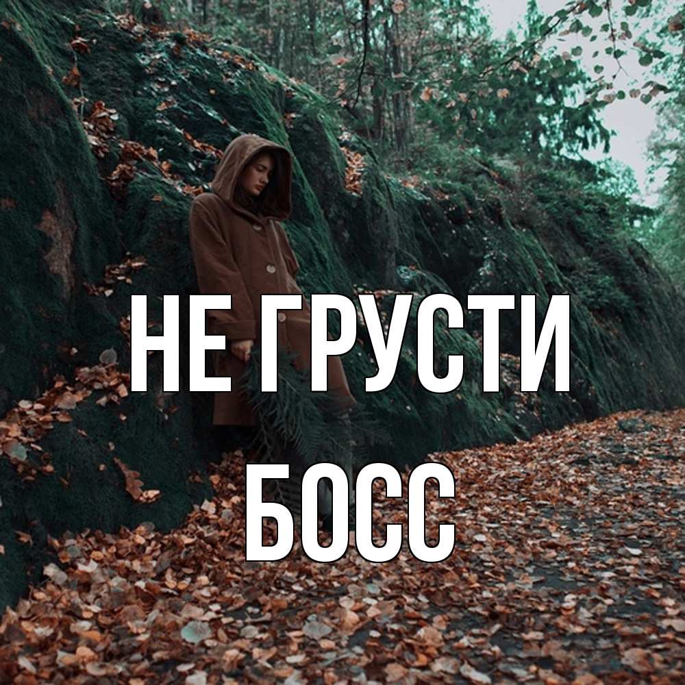 Открытка на каждый день с именем, Босс Не грусти осенний лес Прикольная открытка с пожеланием онлайн скачать бесплатно 