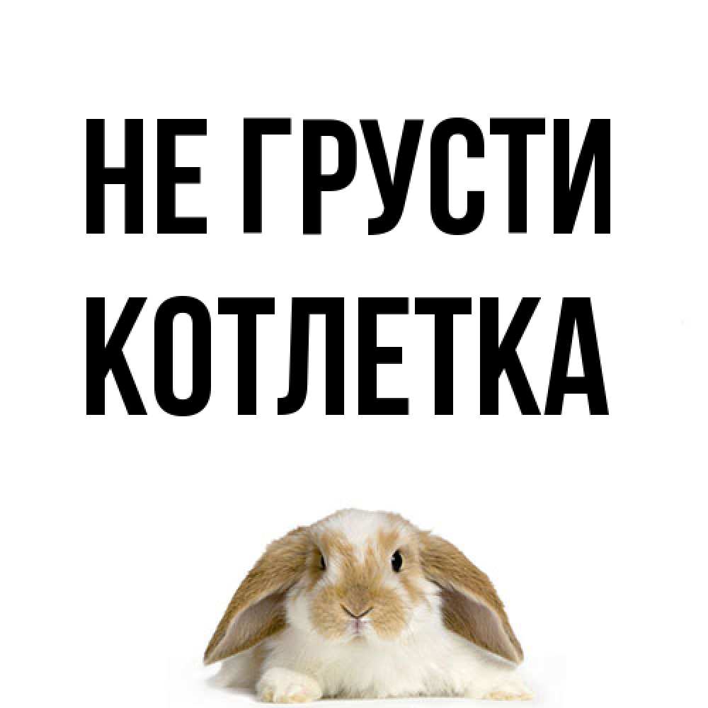 Открытка на каждый день с именем, Котлетка Не грусти коричнево белый заяц с большими ушками Прикольная открытка с пожеланием онлайн скачать бесплатно 