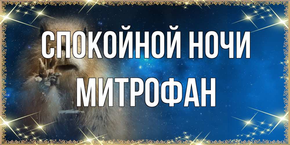 Открытка на каждый день с именем, Митрофан Спокойной ночи спокойной ночи сладких снов Прикольная открытка с пожеланием онлайн скачать бесплатно 